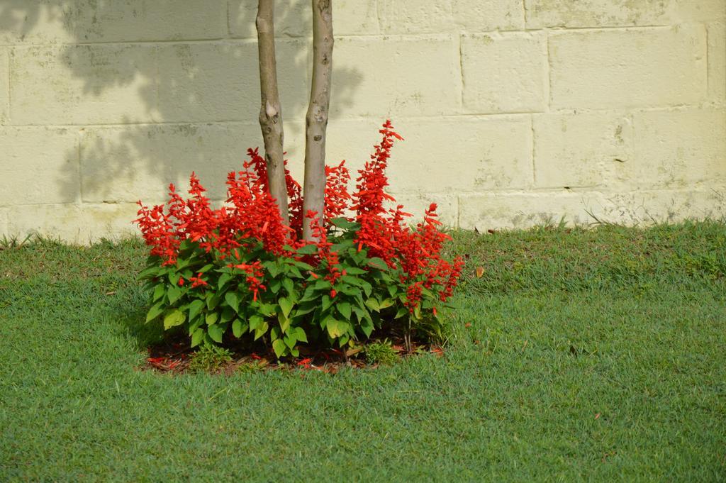Serenity Manor Coonoor Exterior foto